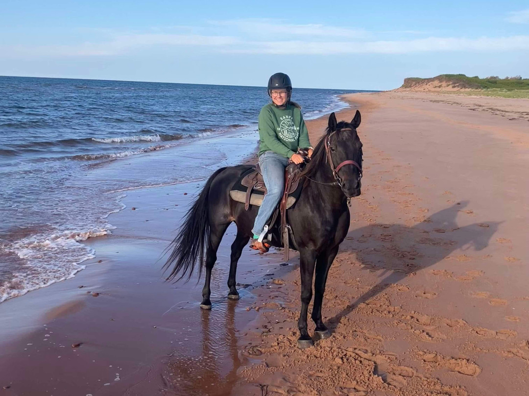 Lakeside Trail Rides-Morell必去景点