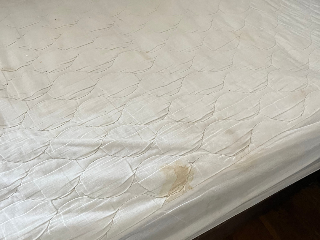 Star Anglia Hotel主图