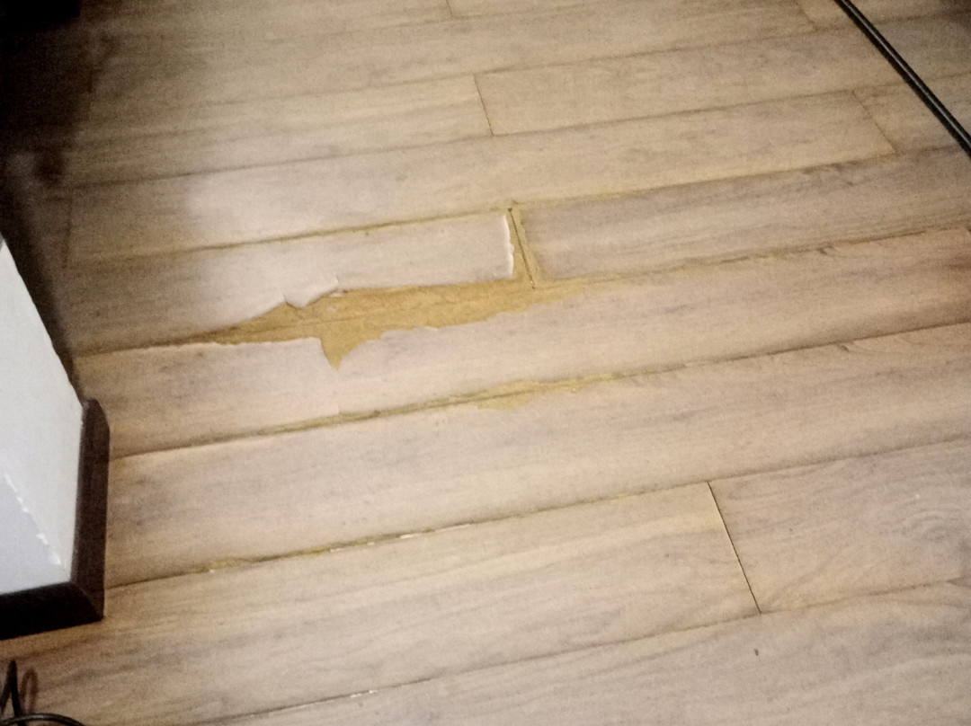 262号套房酒店主图