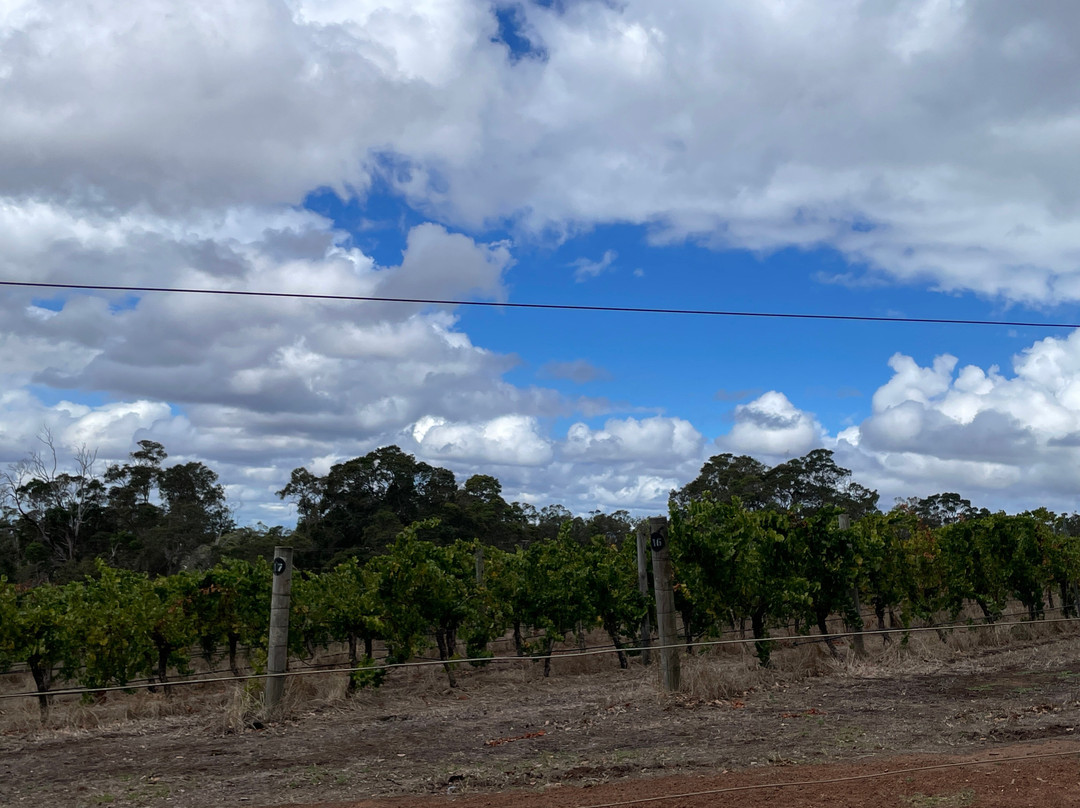 Castle Rock Estate-Porongurup必去景点