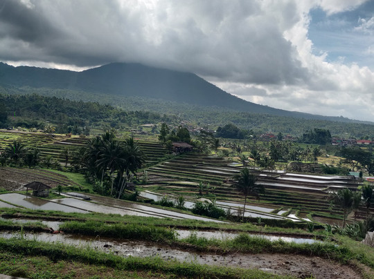 MAI KEBALI TOUR-乌布必去景点