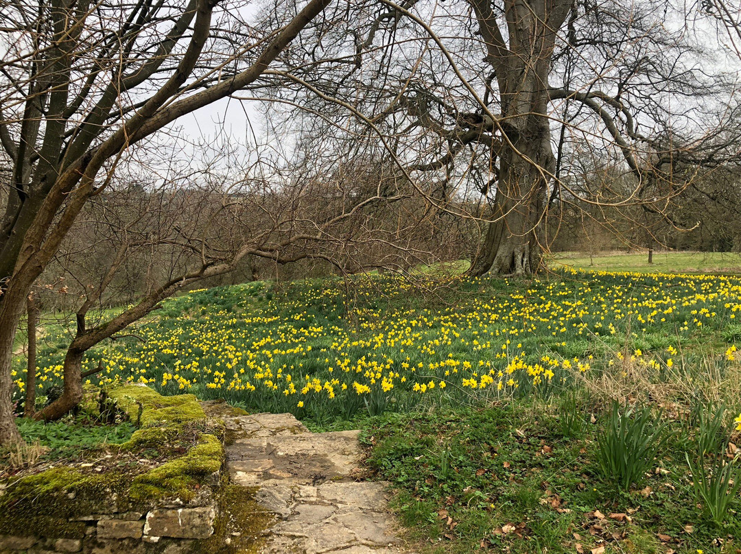 Cerney House Gardens景点图片