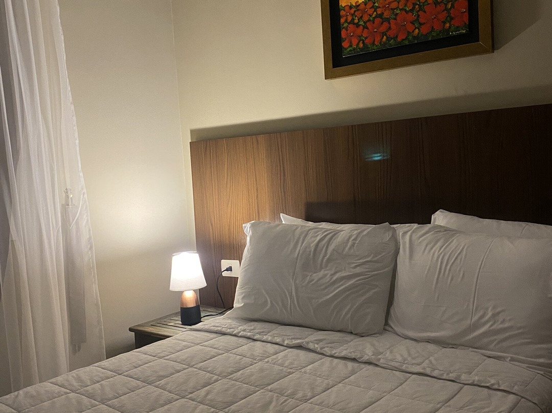 Bella Vista Hotel - Encarnación主图