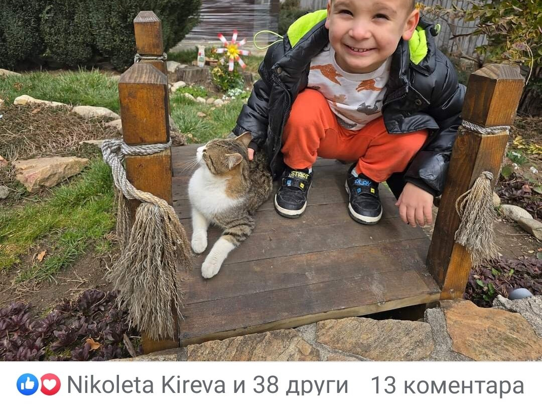 Hotel Kalvachevi主图