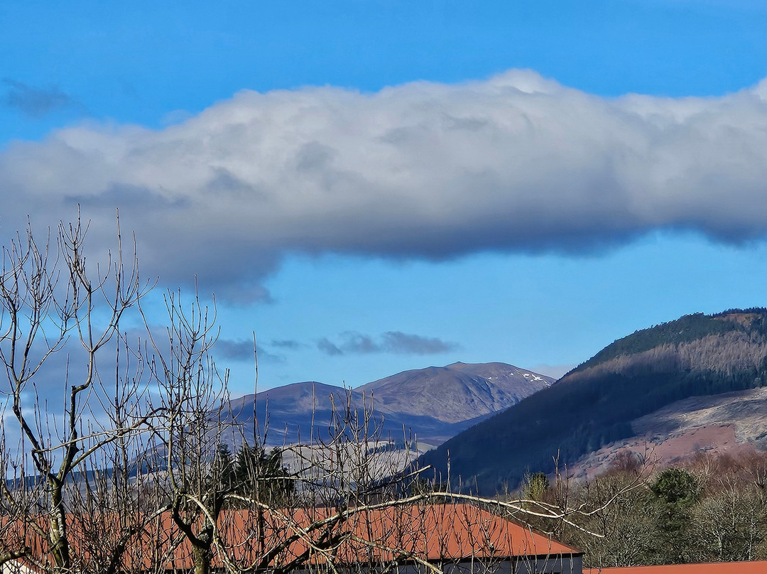 The Townhouse Aberfeldy主图