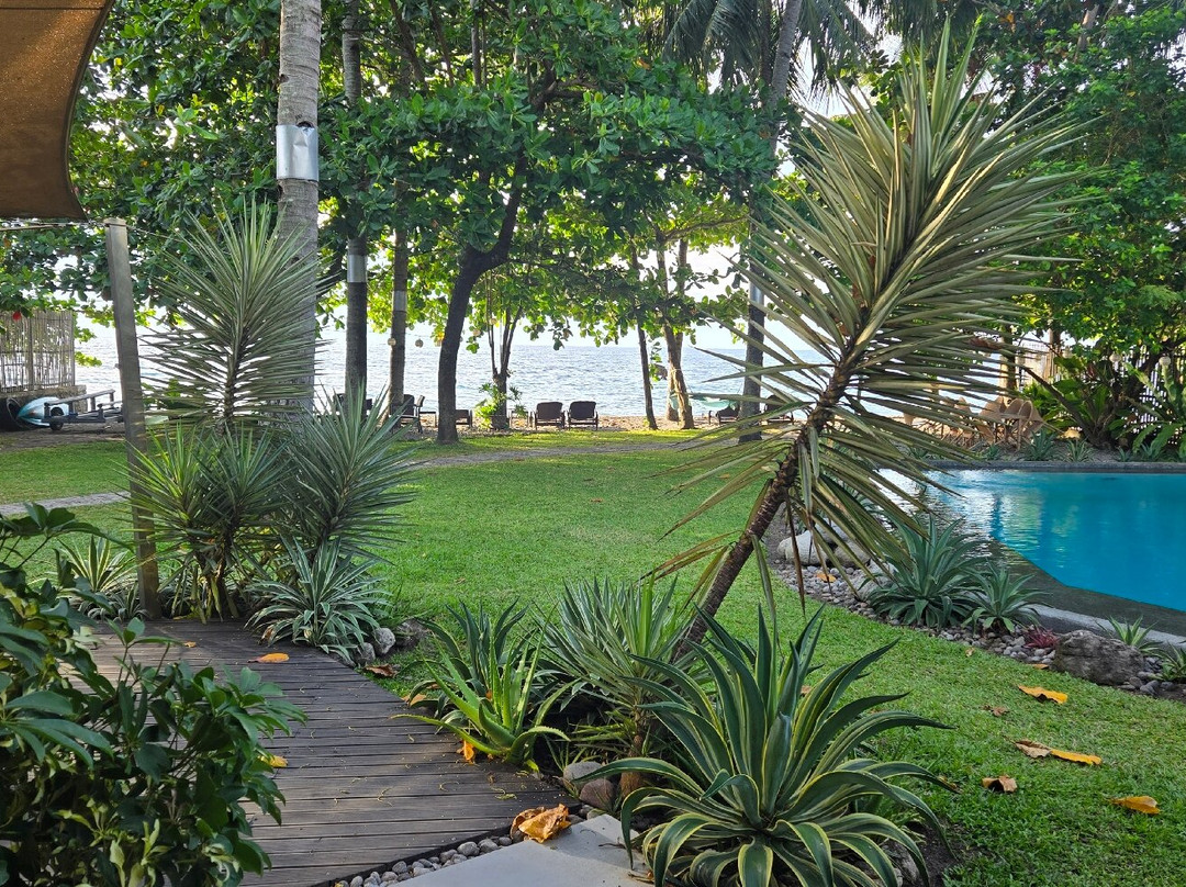 Mahi Mahi Dive Resort主图