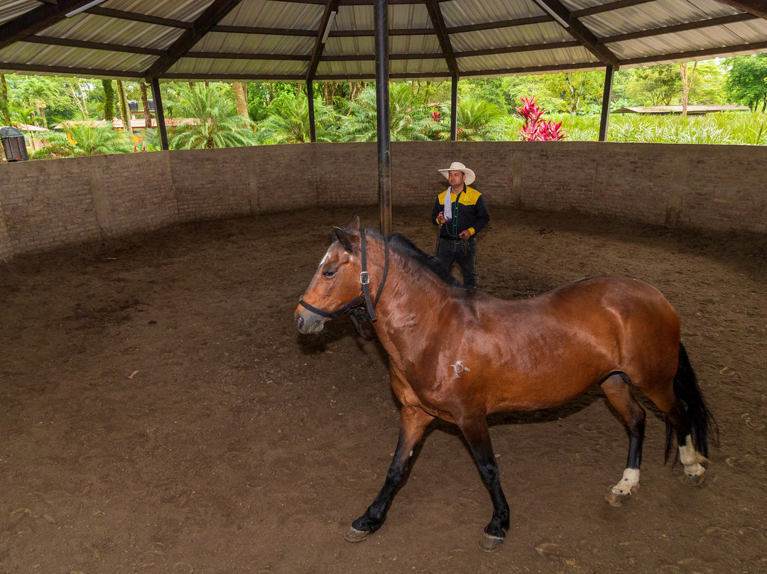 Hotel Campestre La Potra主图