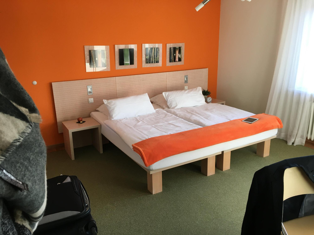 Hildebrandts Das grune Stadthotel主图