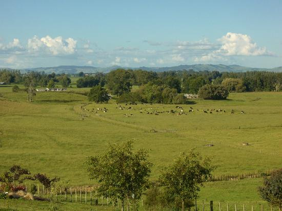 Cloverdale House主图