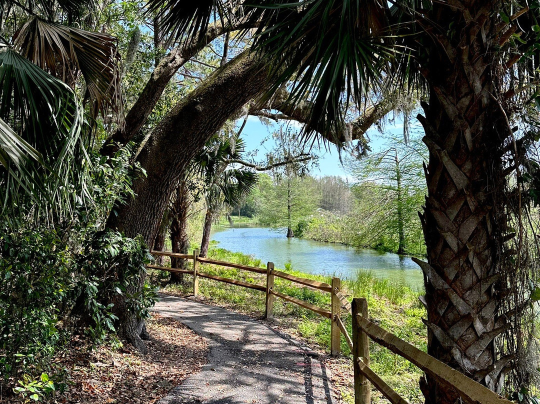 Cypress Wetlands-Port Royal必去景点