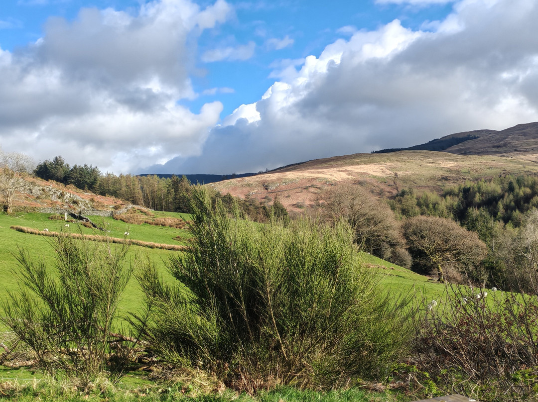 Bwlcheinion Sea View Glamping