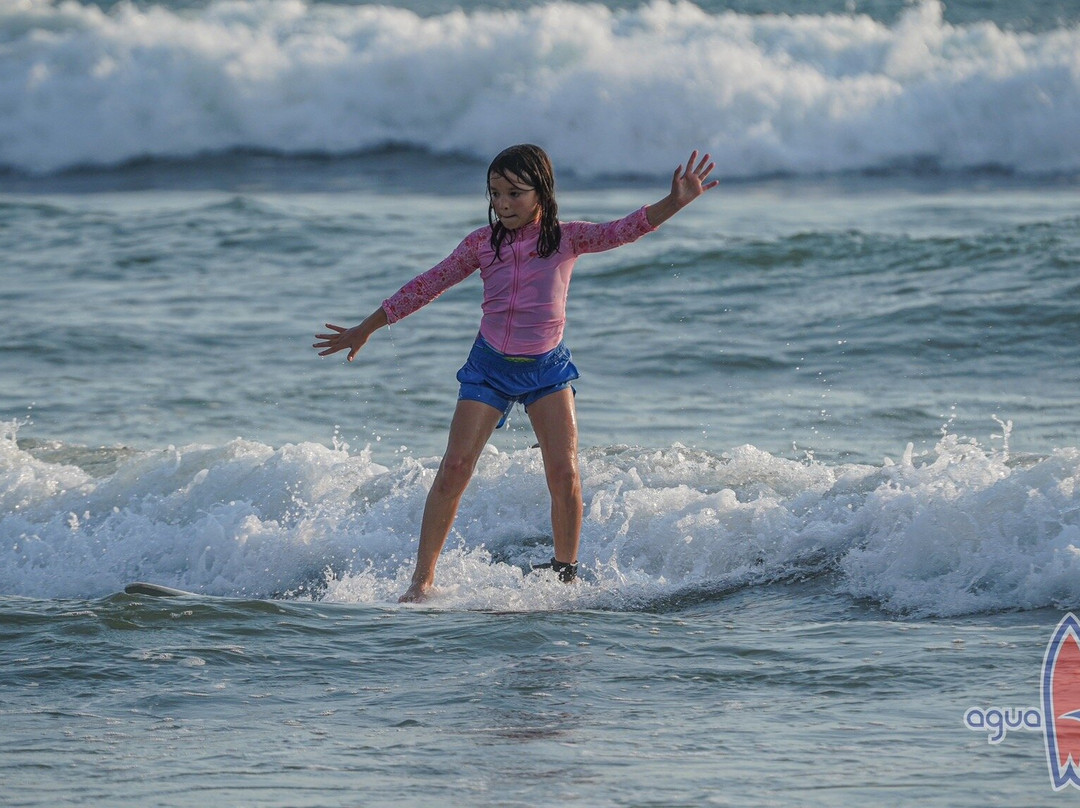 Agua Tibia Surf School景点图片