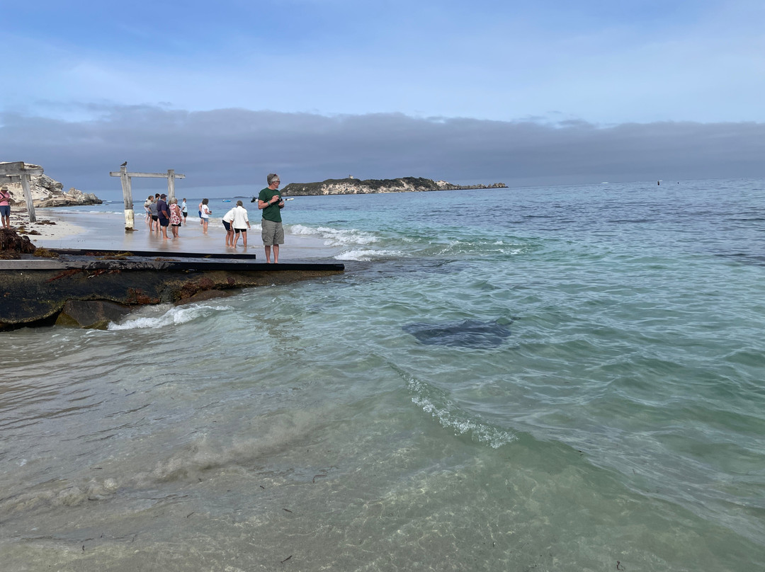 Hamelin Bay Jetty景点图片
