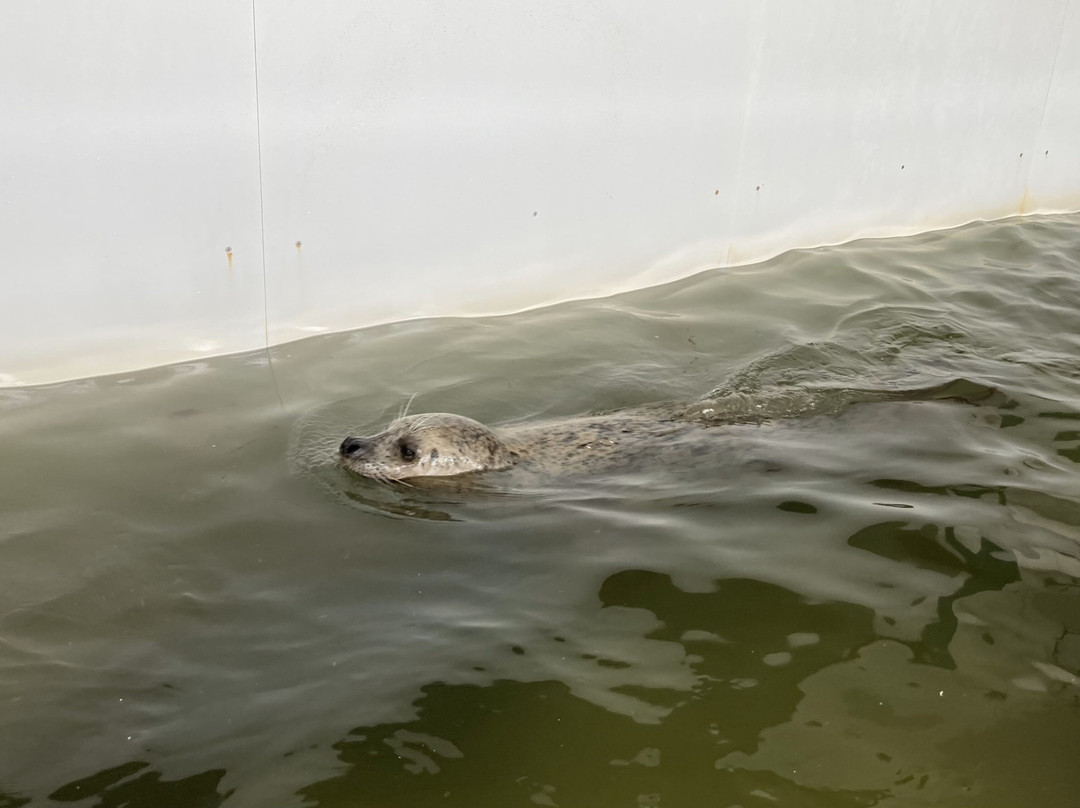 Seaside Aquarium-锡赛德必去景点