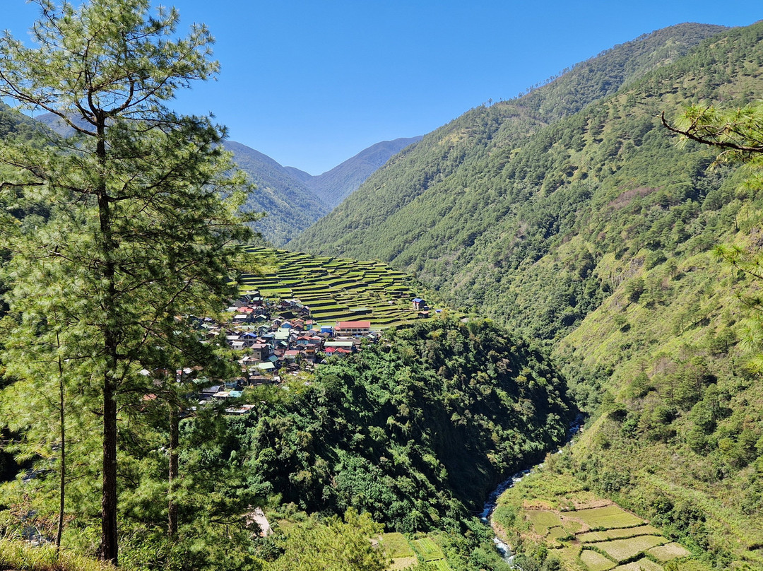 Bayyo Rice Terraces景点图片