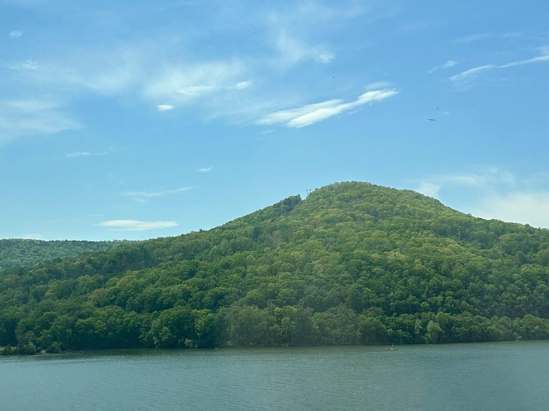 Shelby Rhinehart Bridge-South Pittsburg必去景点