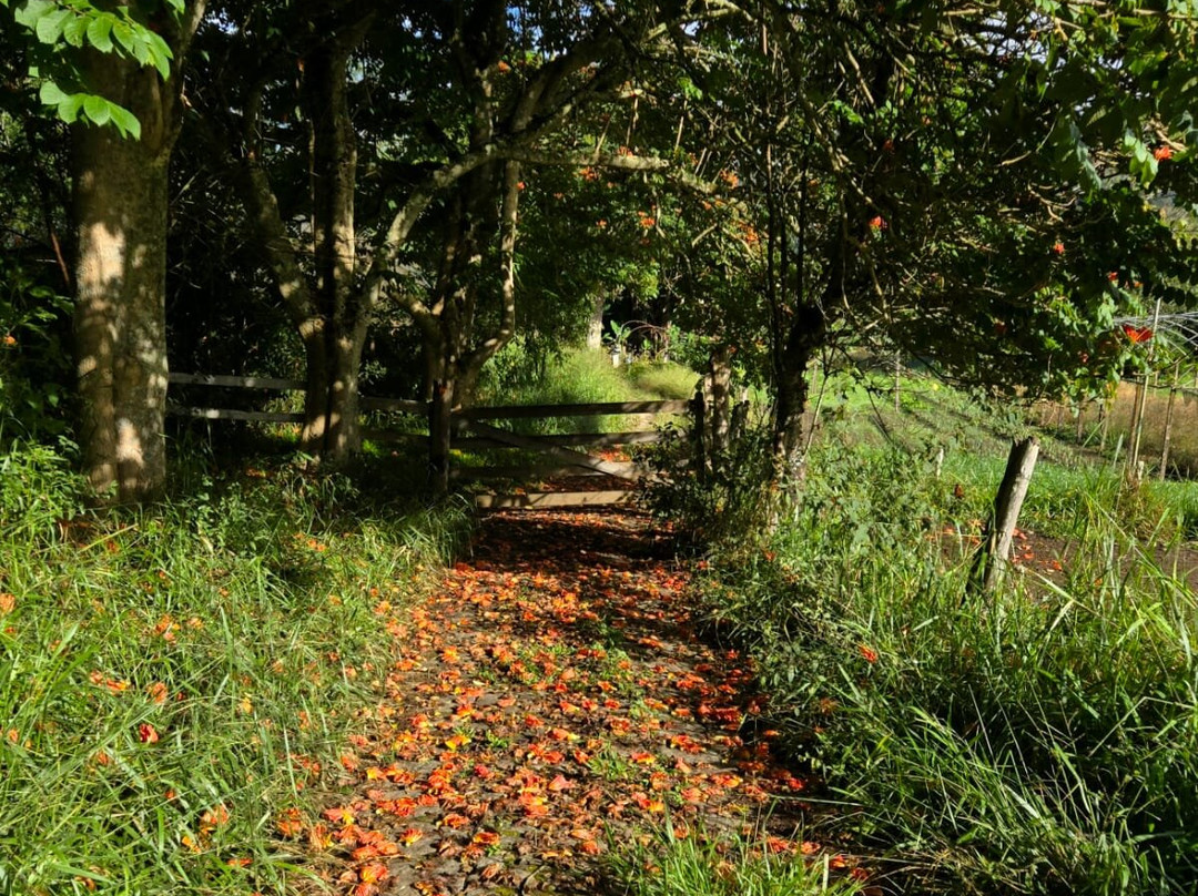 Spa Maria Bonita主图