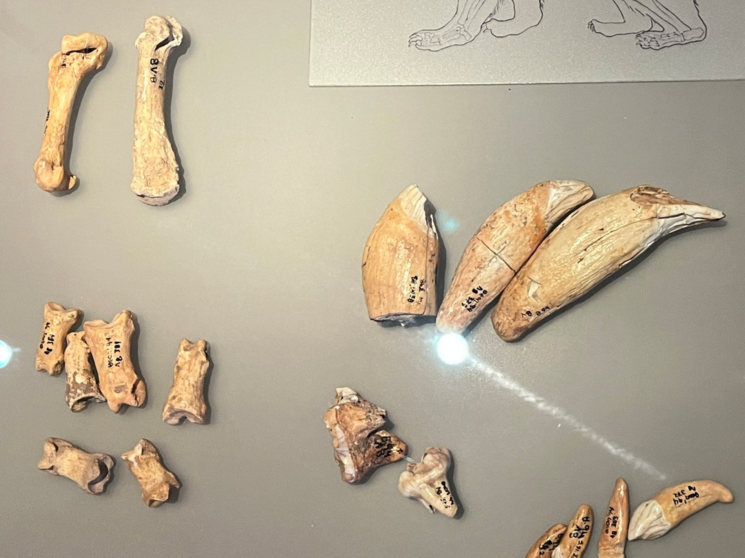 Theopetra Prehistoric Cave-卡兰巴卡必去景点