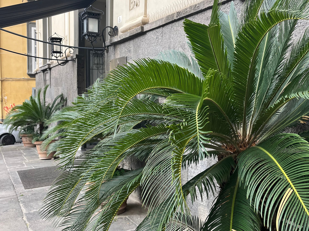 阿尔伯格德库玛尼宫酒店主图