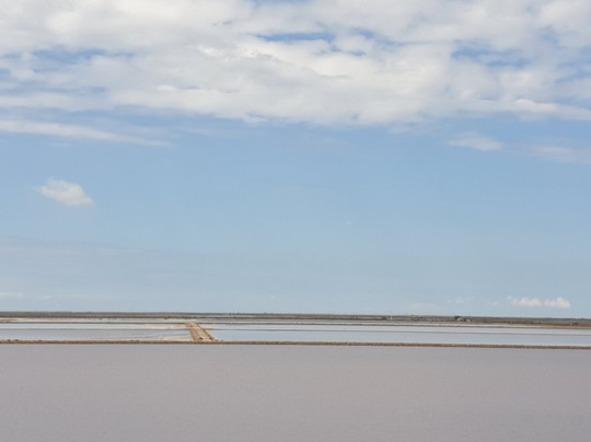 Salt Pan Observation Mound-Salin de Giraud必去景点
