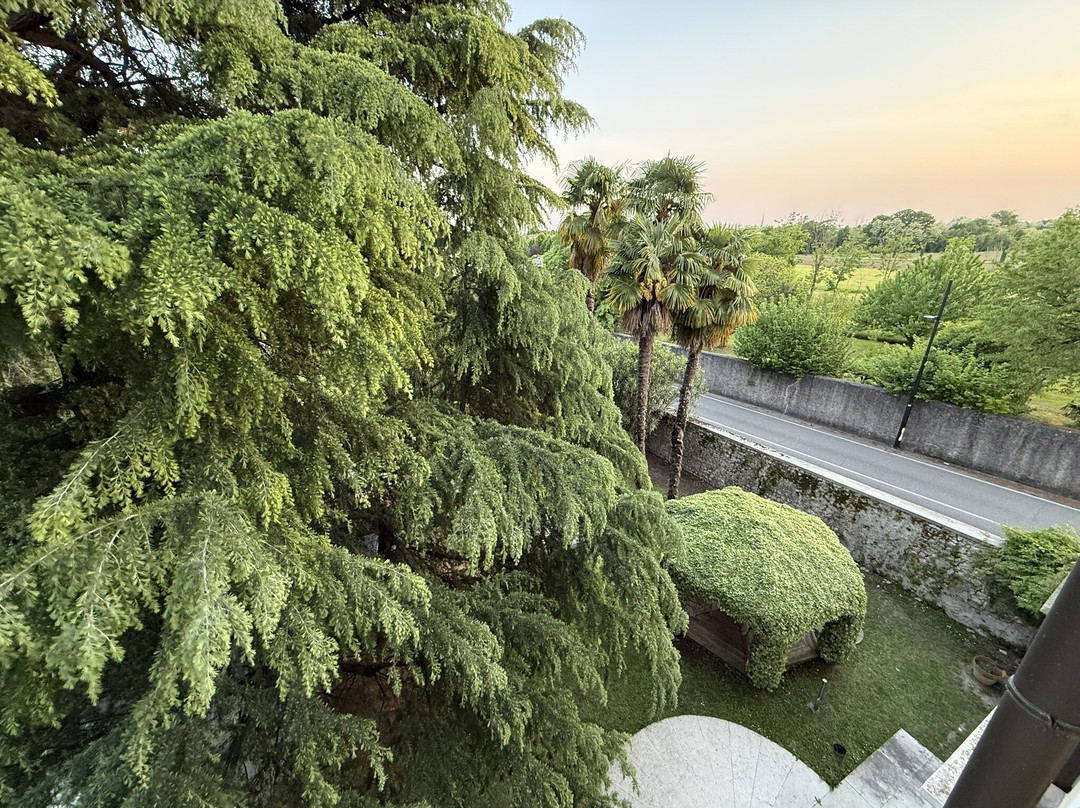 Hotel Villa Ca' Damiani主图