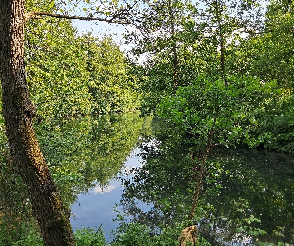 Risorgive Del Bacchiglione - Bosco di Dueville