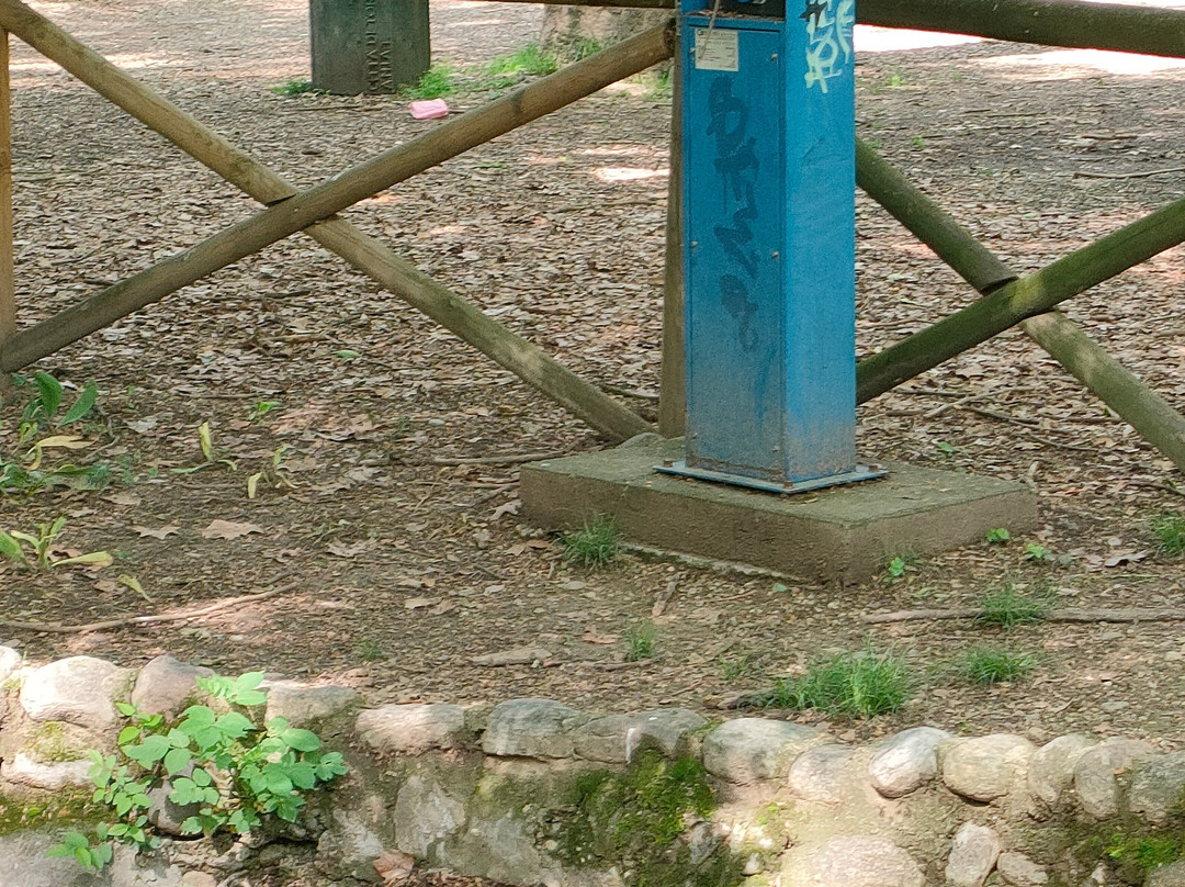 瓦伦蒂诺公园景点图片