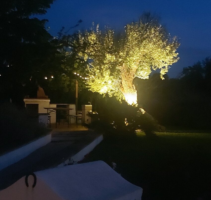 Masseria Cesarina B&B主图