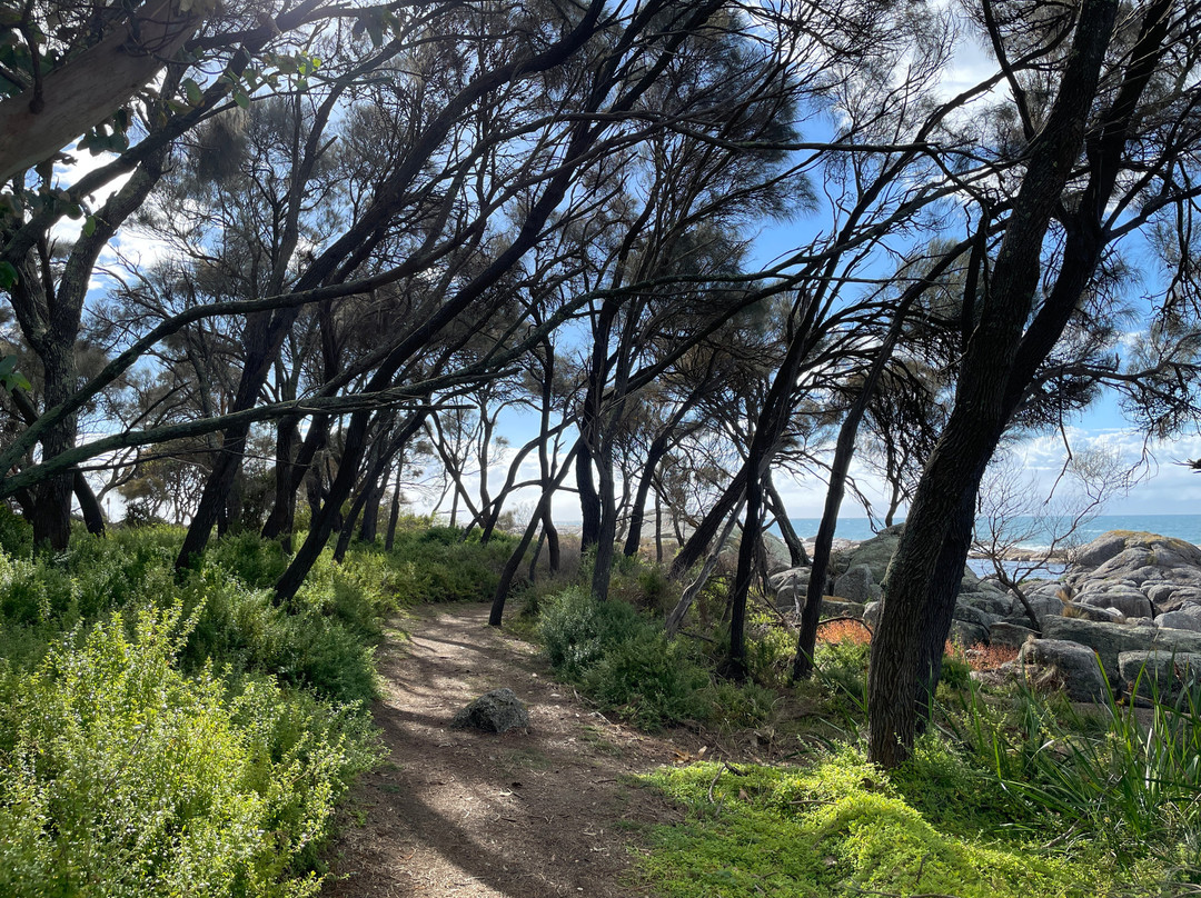 Bicheno Foreshore Footway