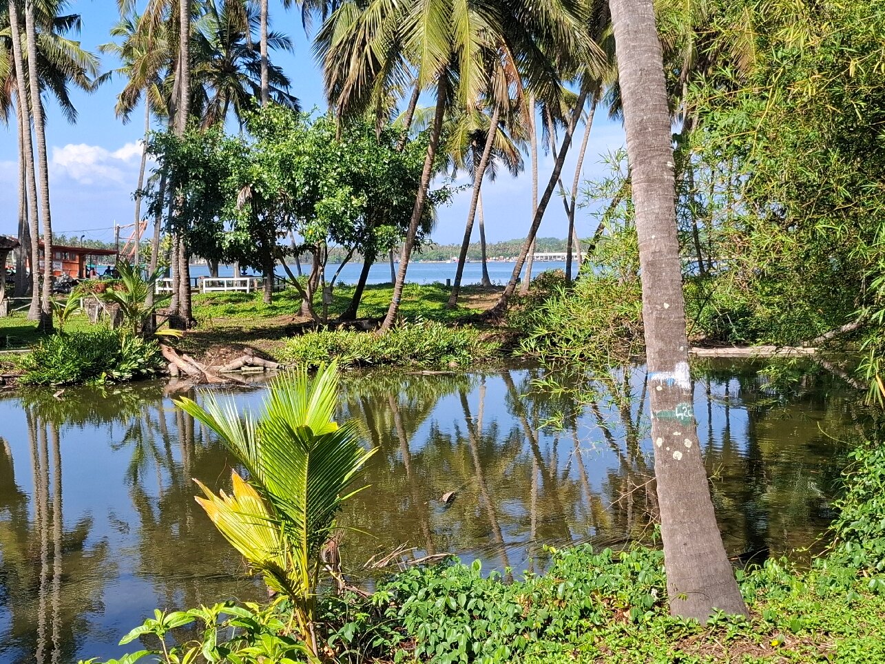 River Lap Homestay-官方