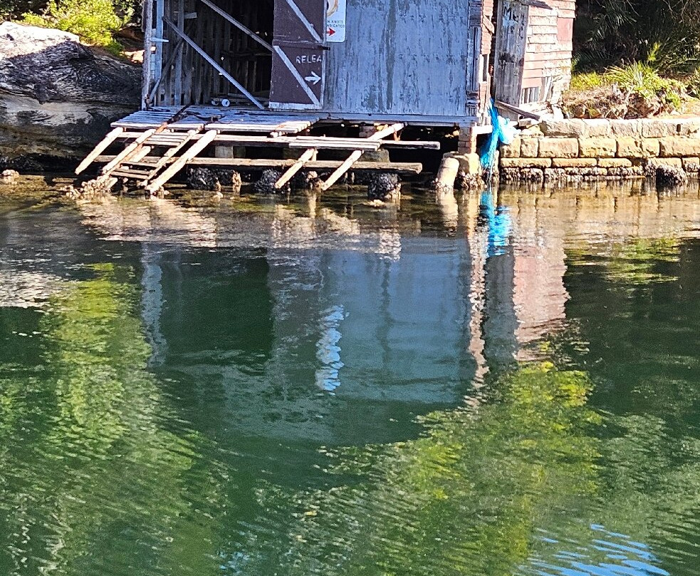 Cronulla & National Park Ferry Cruises-克罗纳拉必去景点