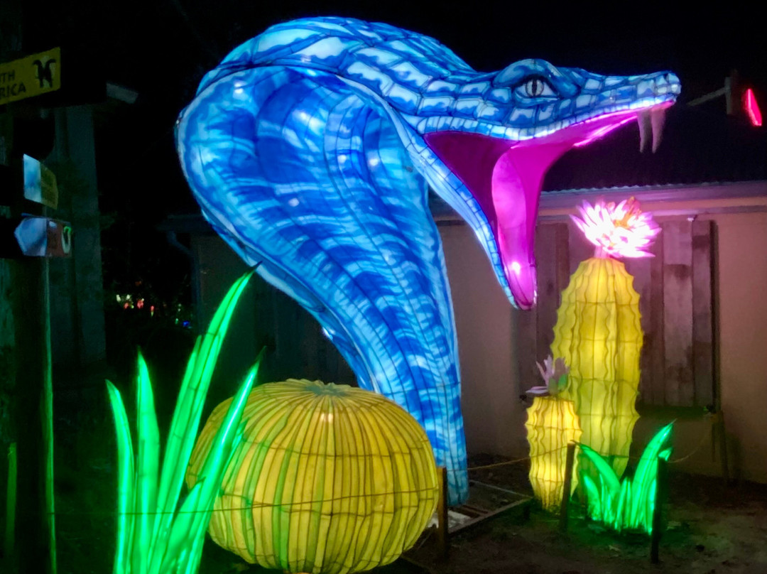 John Ball Zoo-大急流市必去景点