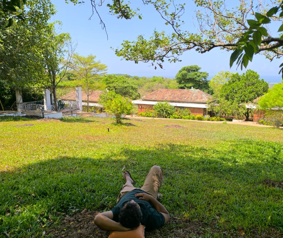 萨马利蕨类度假村主图