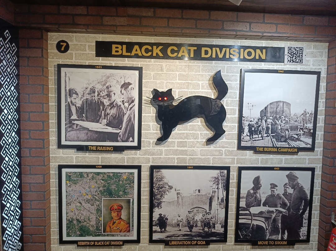 Black Cat Museum-甘托克必去景点