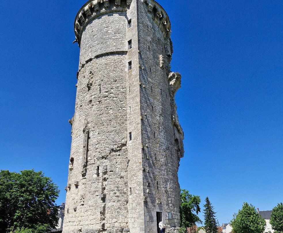 Château de Mehun-sur-Yèvre-Mehun-sur-Yevre必去景点