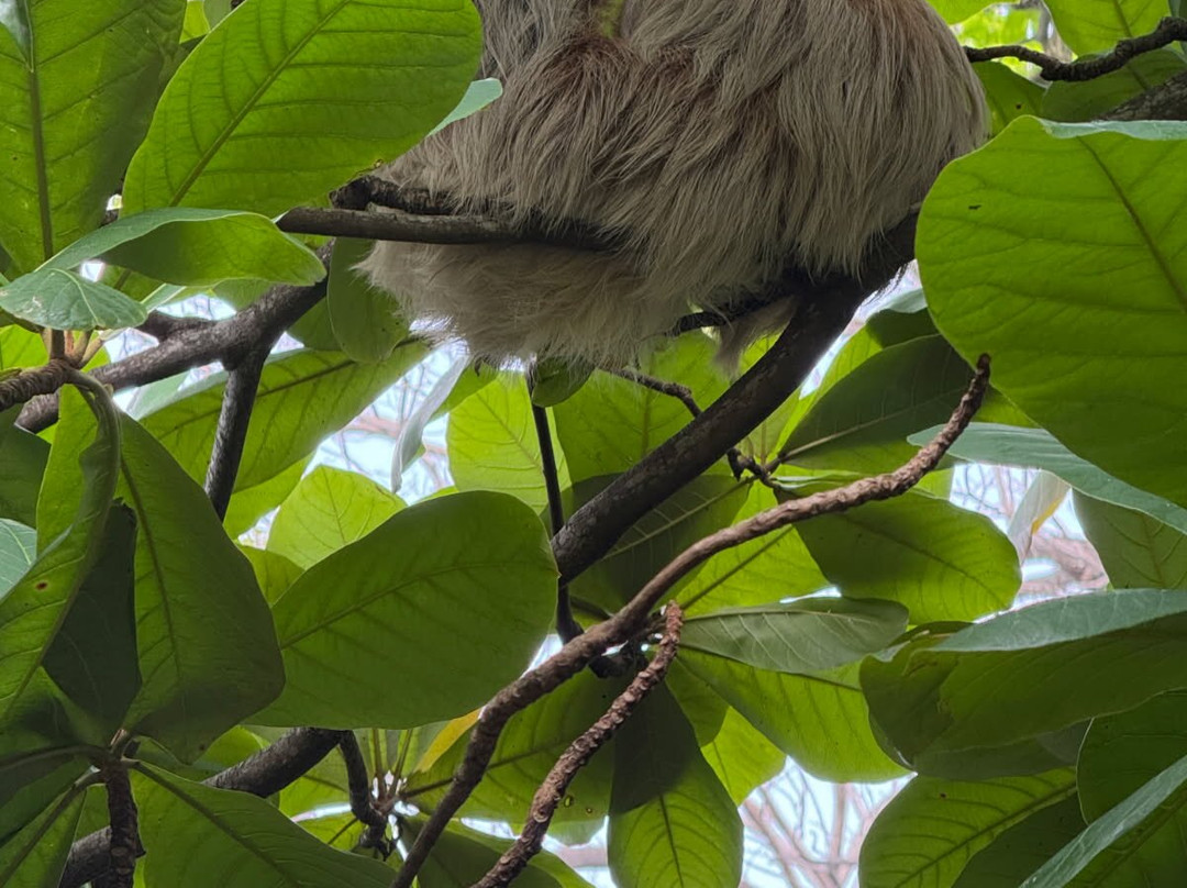 Tachiz Travel Costa Rica-Barva必去景点
