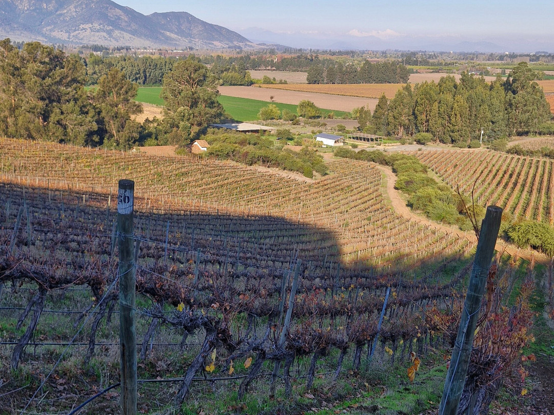 Natural Wine Tours-Palmilla必去景点