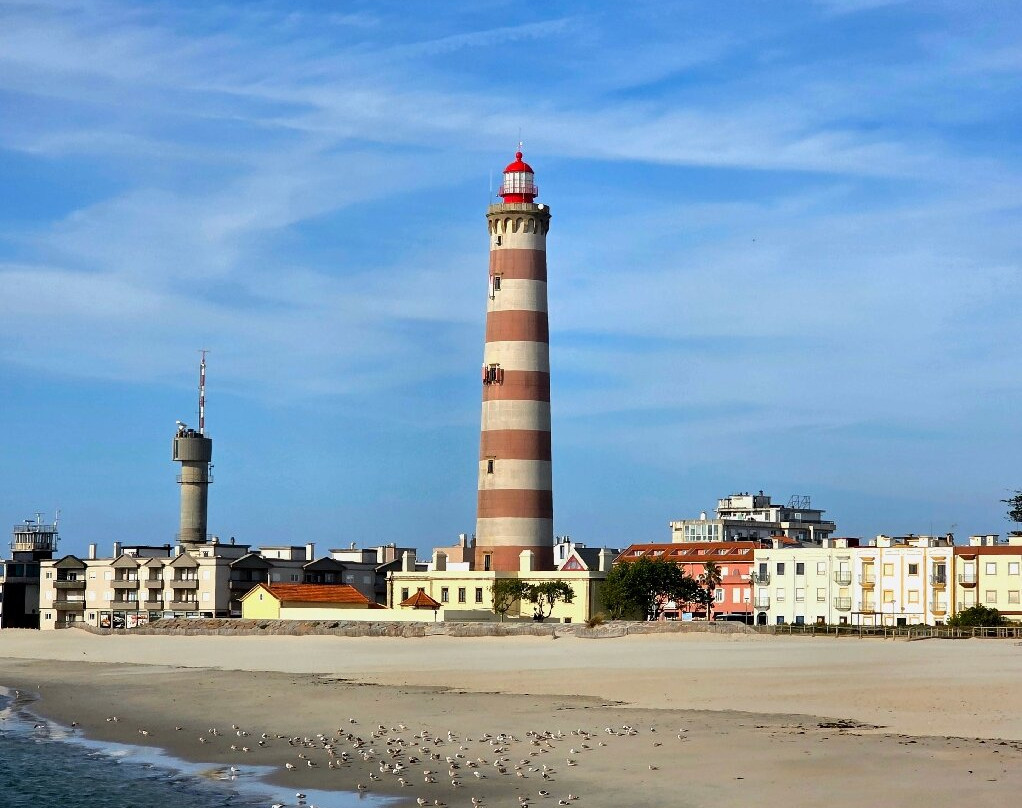 Farol da Barra景点图片