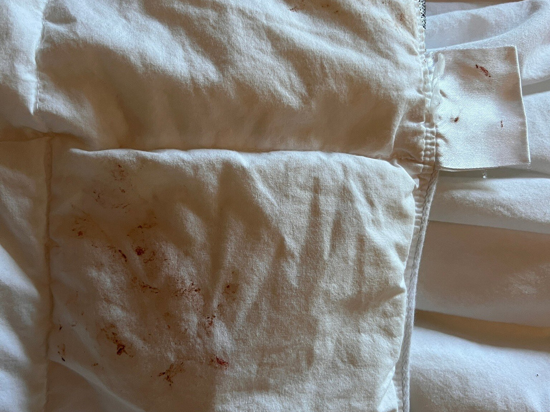 Bristol Harbor Inn主图