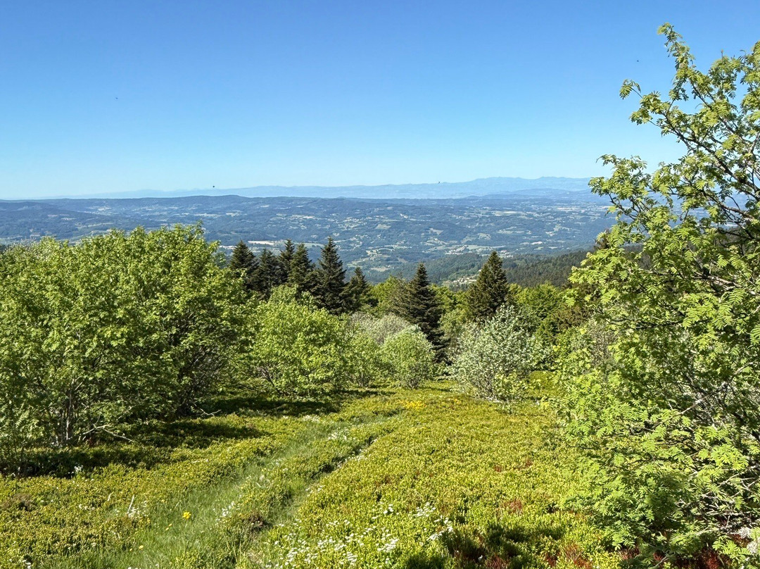 La Maison Du Chevalier主图