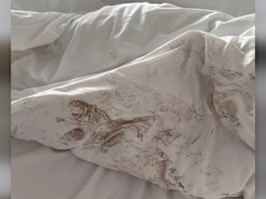 Lavissh Inn & Suites