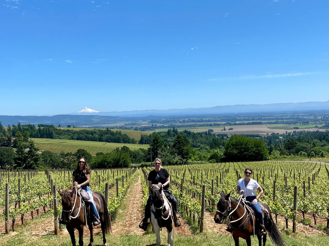 Equestrian Wine Tours-Carlton必去景点