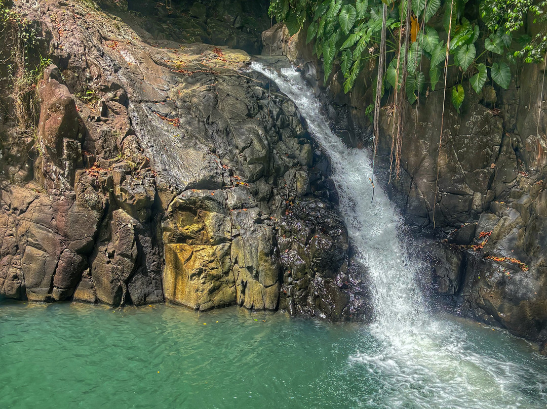 Cascade Le Saut de L'Acomat-Pointe-Noire必去景点
