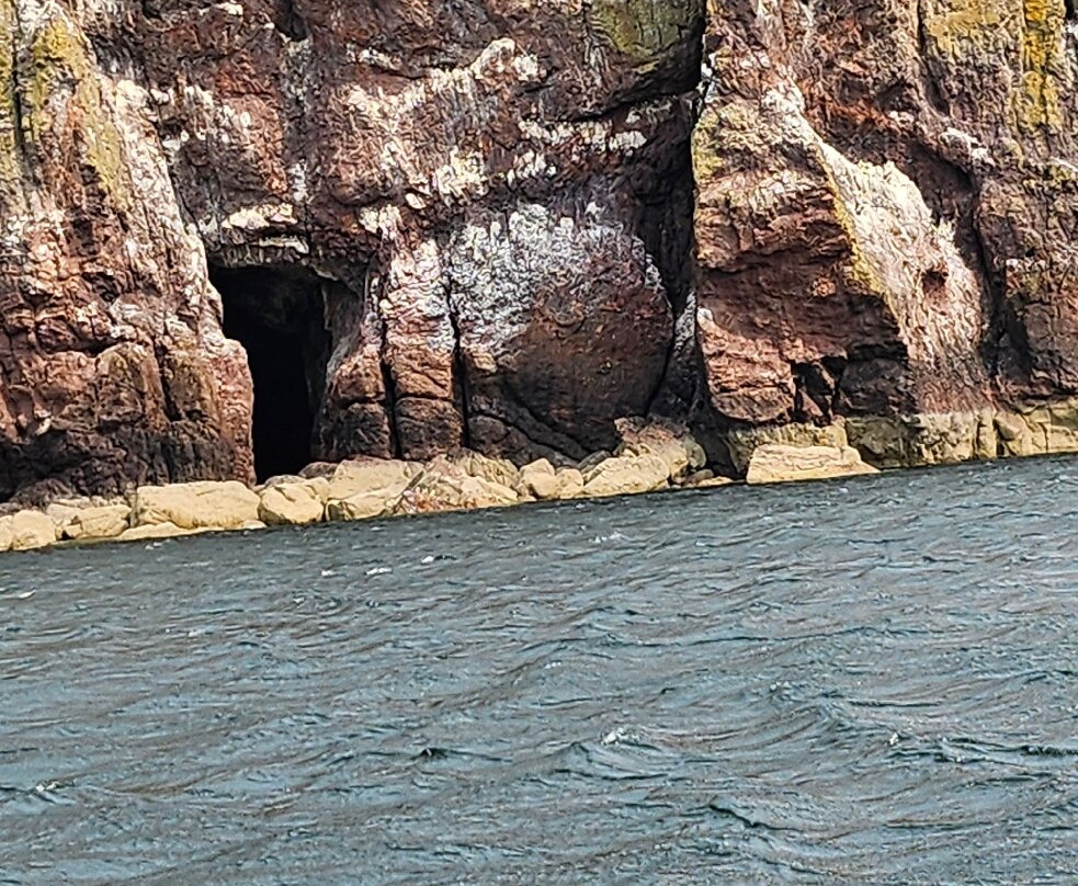 Eyemouth Rib Trips景点图片