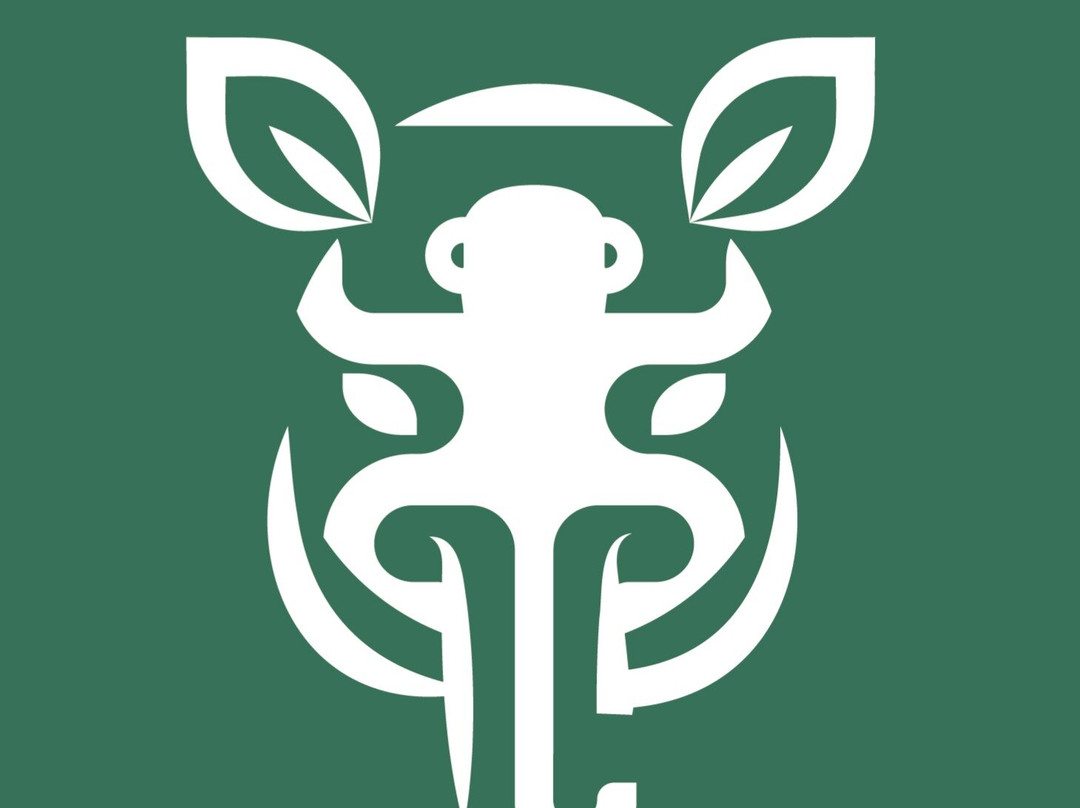 Liberia Transfers & Tours-利比里亚必去景点