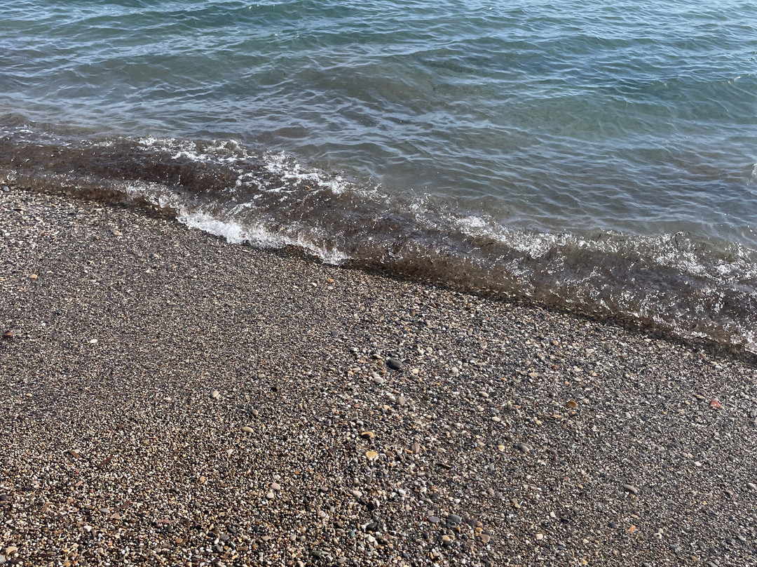 Plage des Lecques景点图片