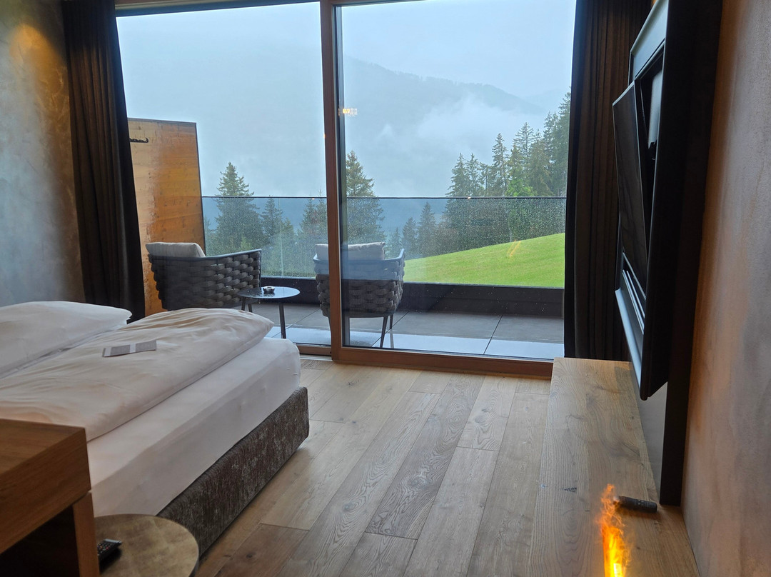 Hotel Alpen Tesitin主图