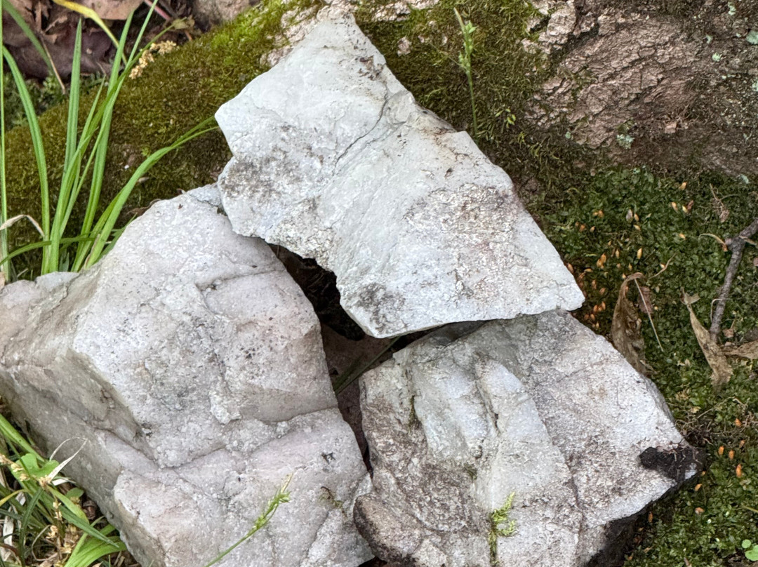 Grail Springs Retreat For Wellbeing主图