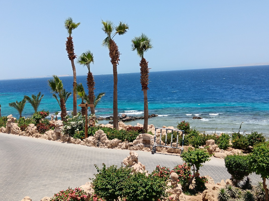 Albatros Citadel Sahl Hashsih - Families & Couples Only