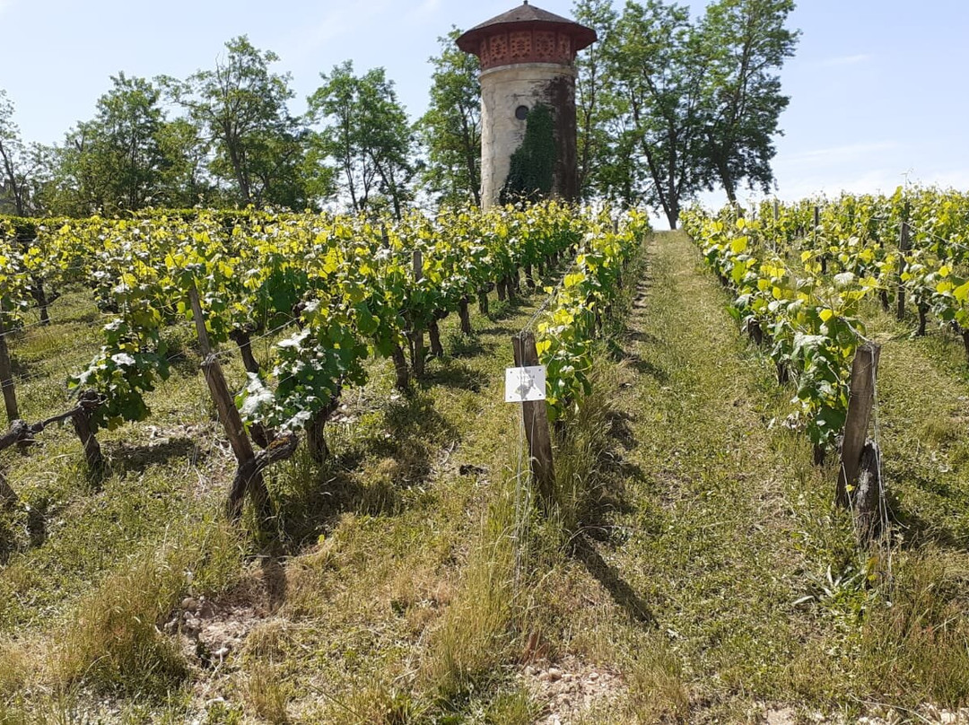 Chateau Lanessan景点图片